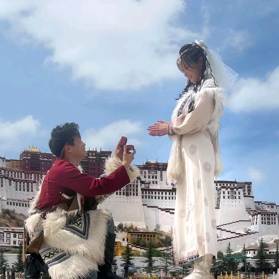 张张的杨🐑