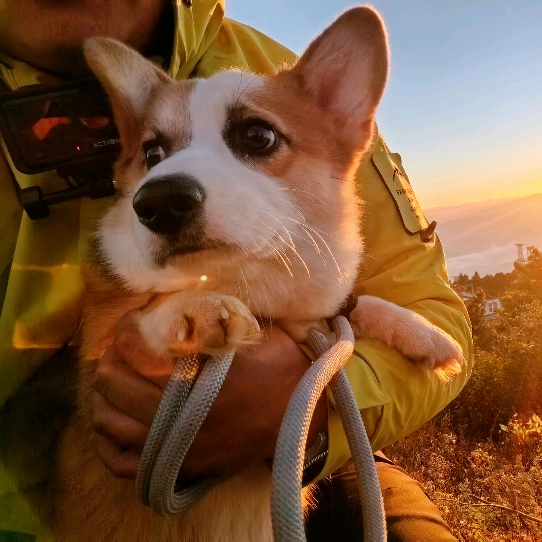 小蜜蜂二手车收购（尹先生）