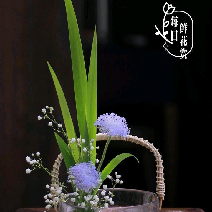 老八