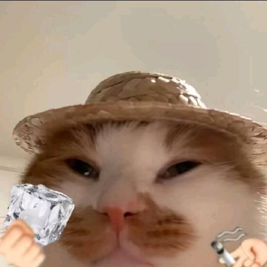 冬至