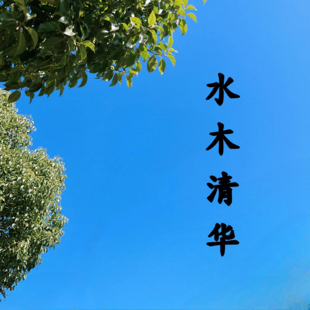 □听雨□