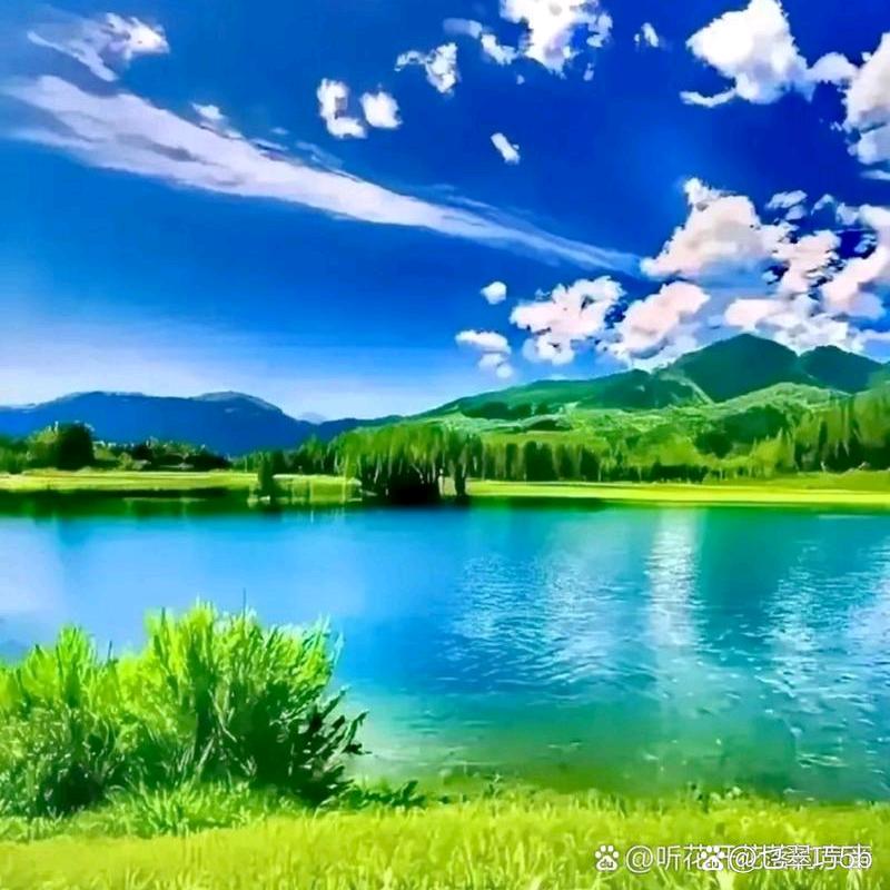 陈吉永