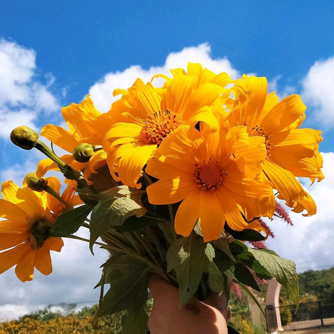 梦想. တရုတ် မြန်မာ