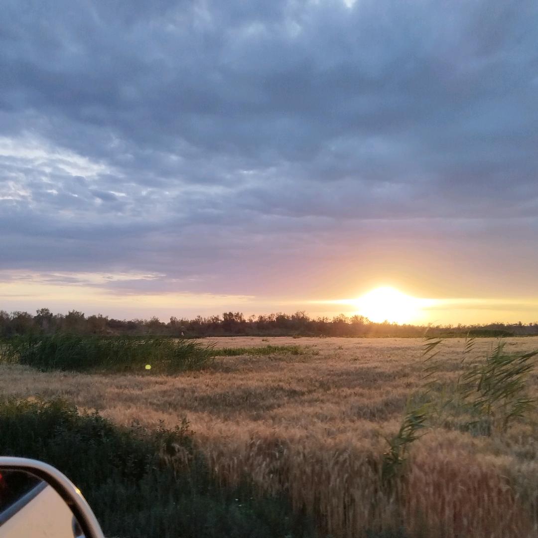 朝花夕拾杯中酒