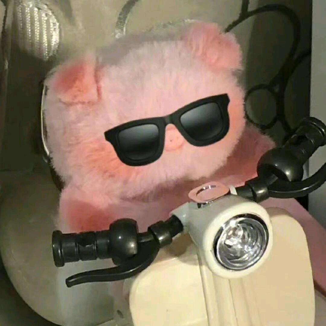 快乐小Liu鸭