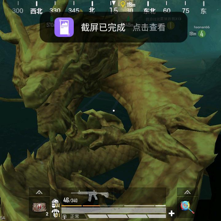 罗孝开