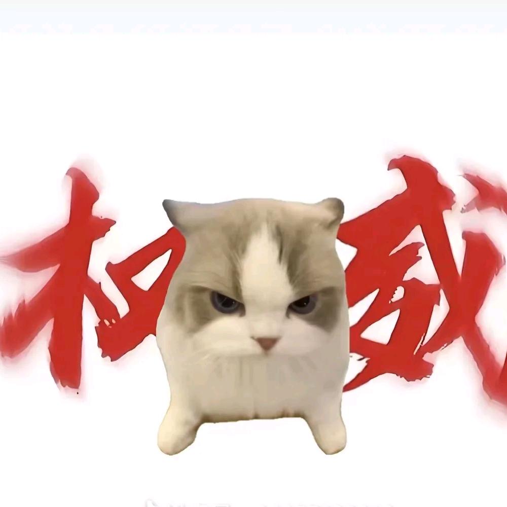 ^季小冰^🎸