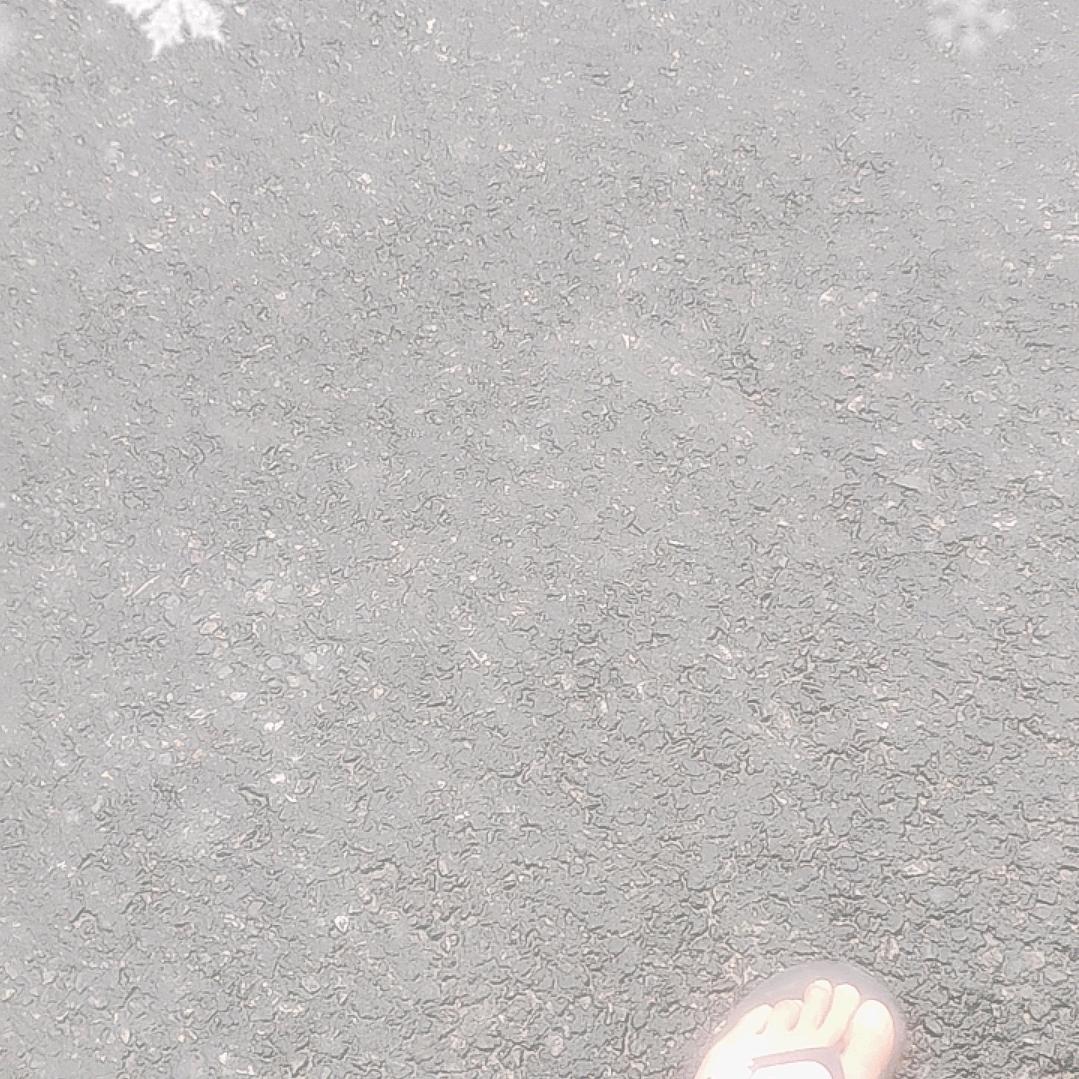 望莲商行