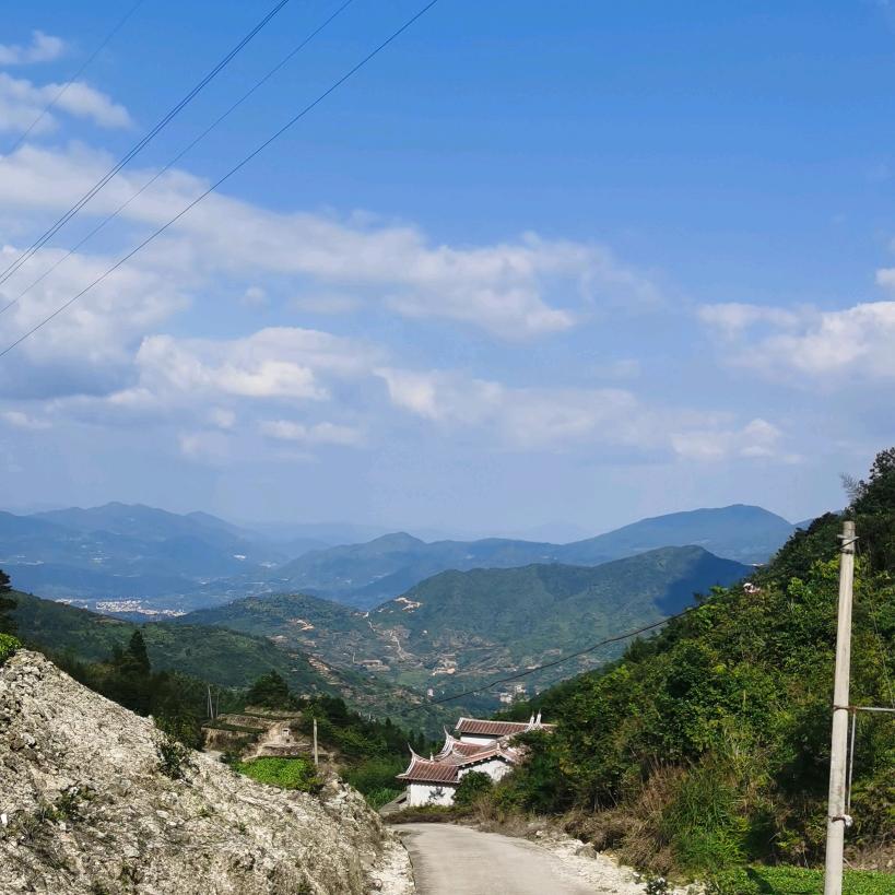 芥末沙拉（酱油妹）