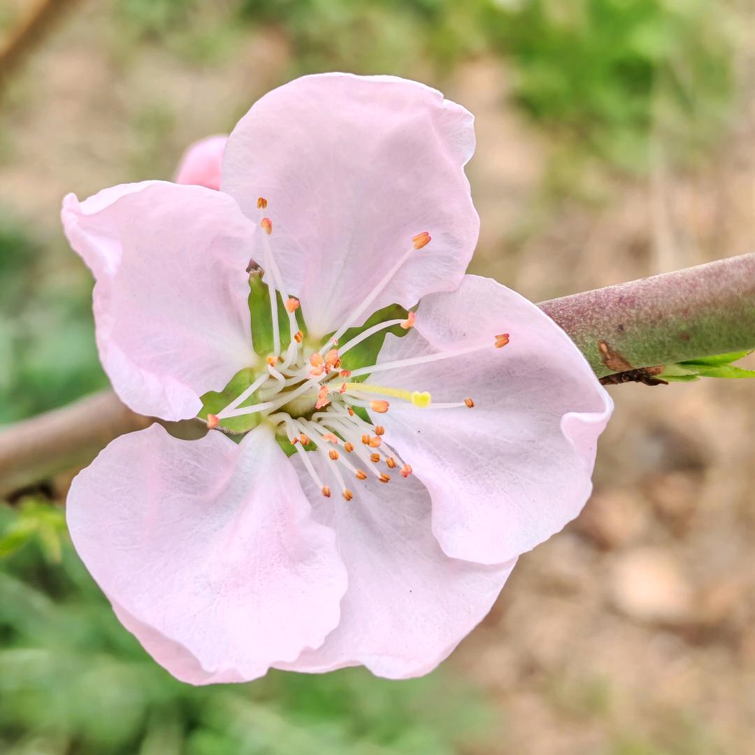 ✨️✨️阳宝and晞宝✨️