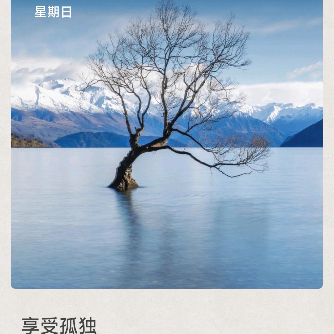 经典回味