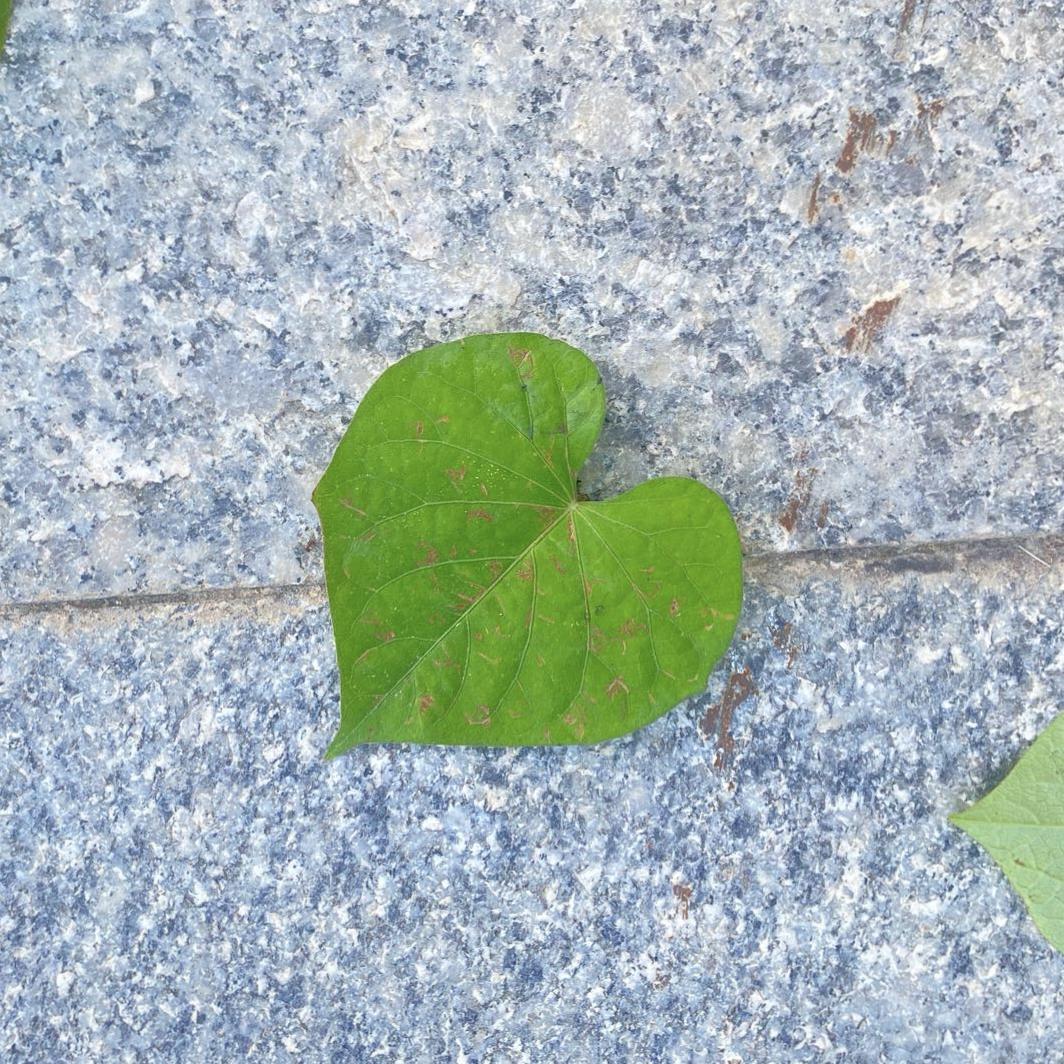 ·