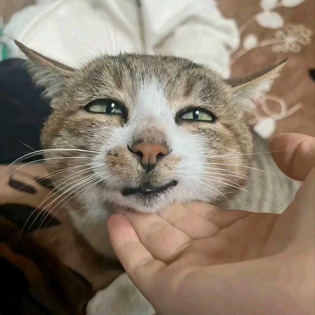 分毛不挣就是耍🤪