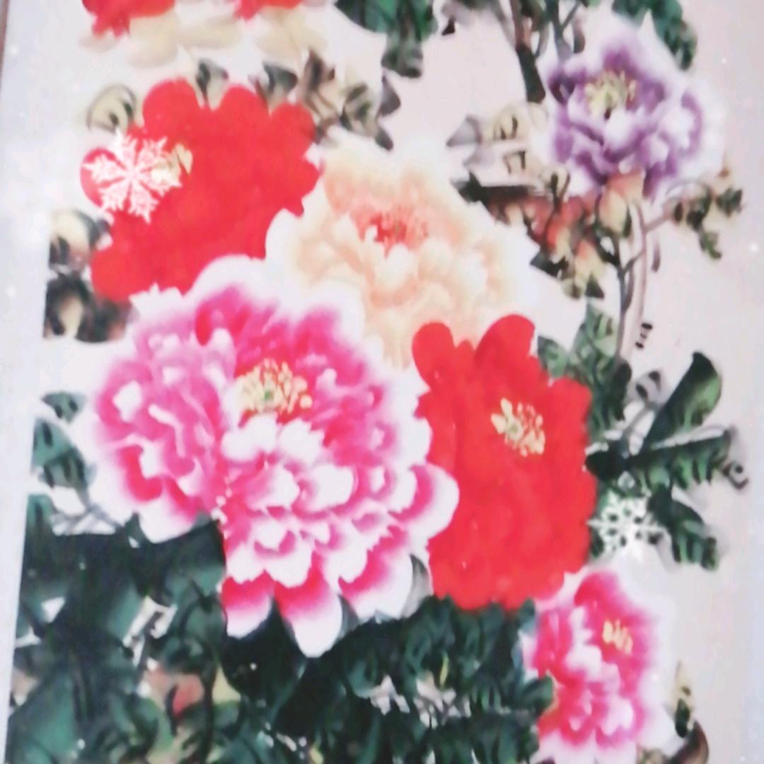 云程万里（拒私聊）