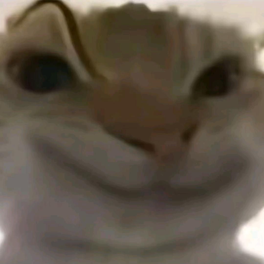 安保鼠鼠（三角洲）