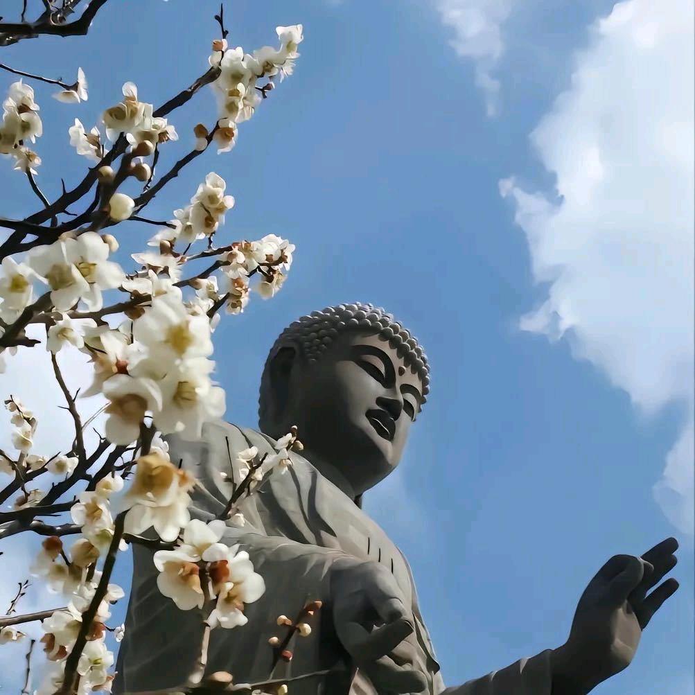 ￴ ￴￴ ￴ ￴ ￴ ￴￴ ￴ ￴