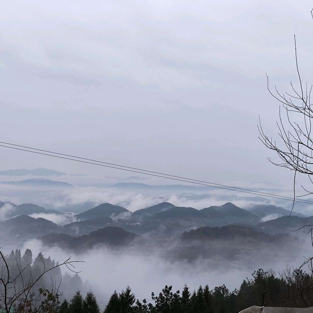 清汤里的鸡毛