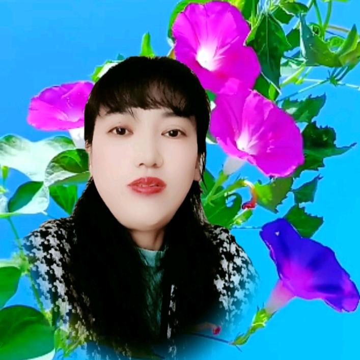 华姐