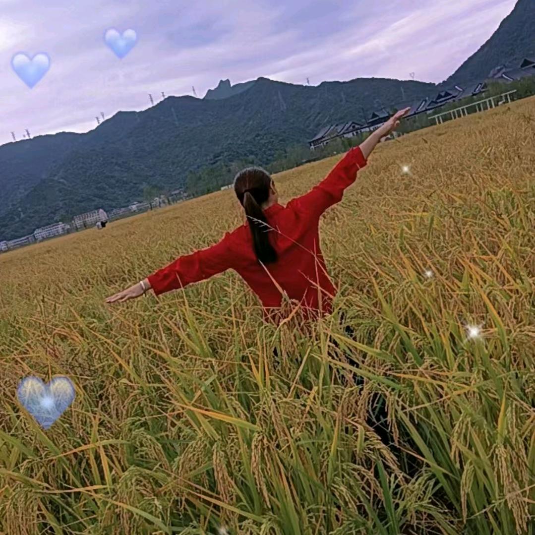 川Y头