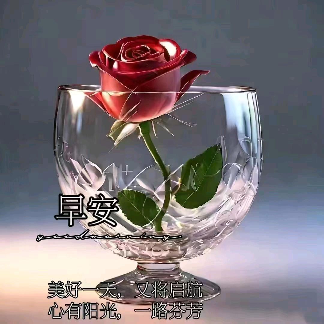 Li立