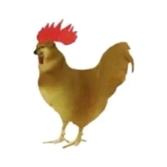 逆封