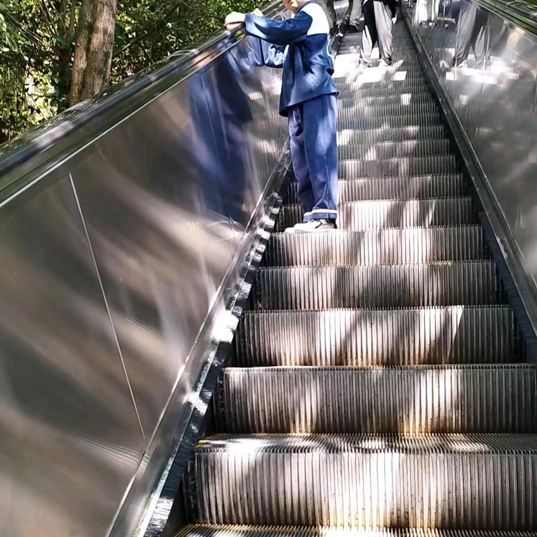 鑫韵