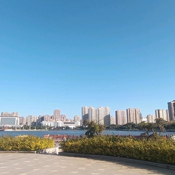 龙风胎宝妈