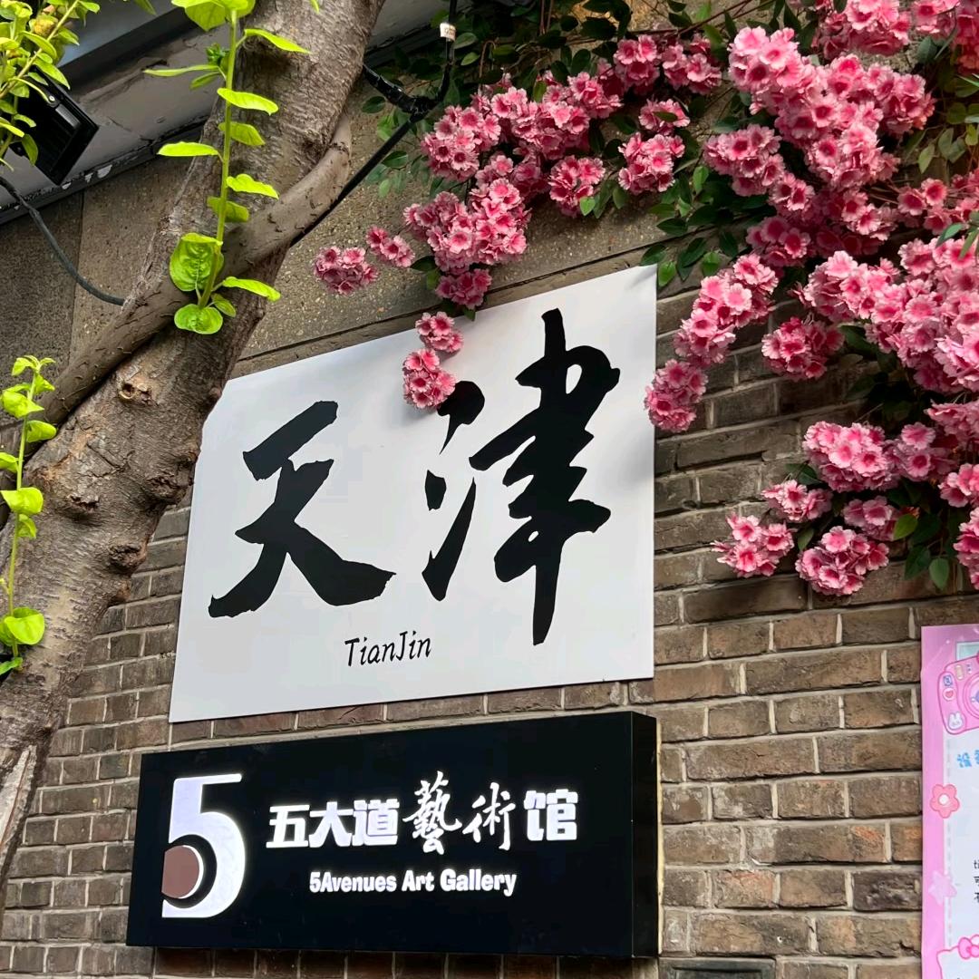 天津升学落户规划丽丽老师