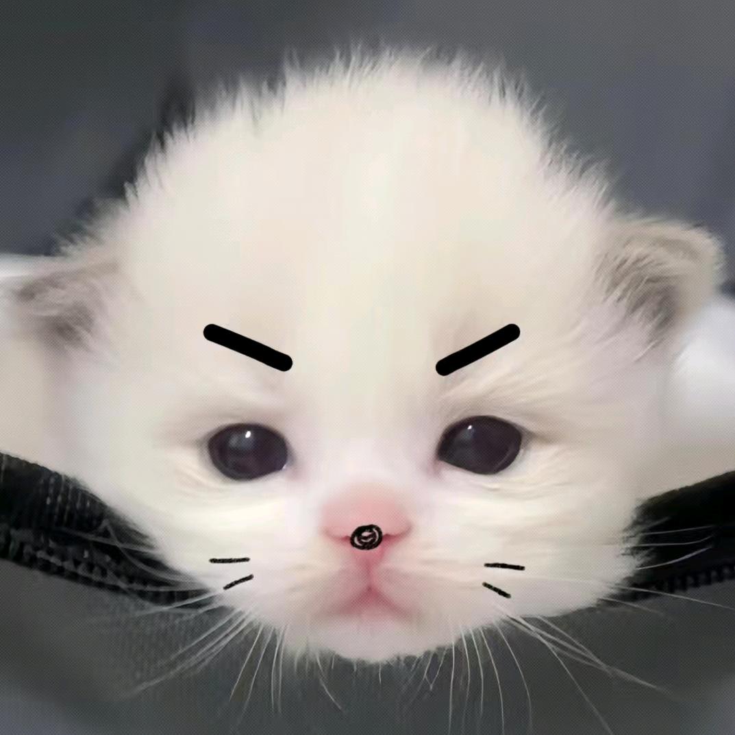°ʚ丧彪的小弟ɞ°