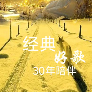 霖歌（歌声飘过30年）