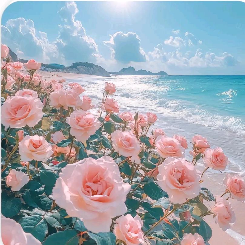 冯程🌸
