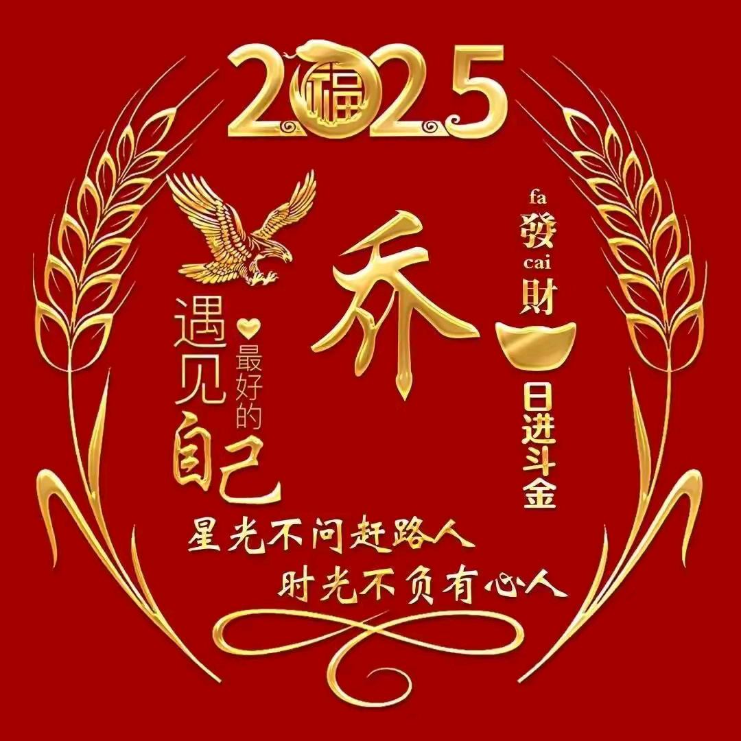 逆风飞舞