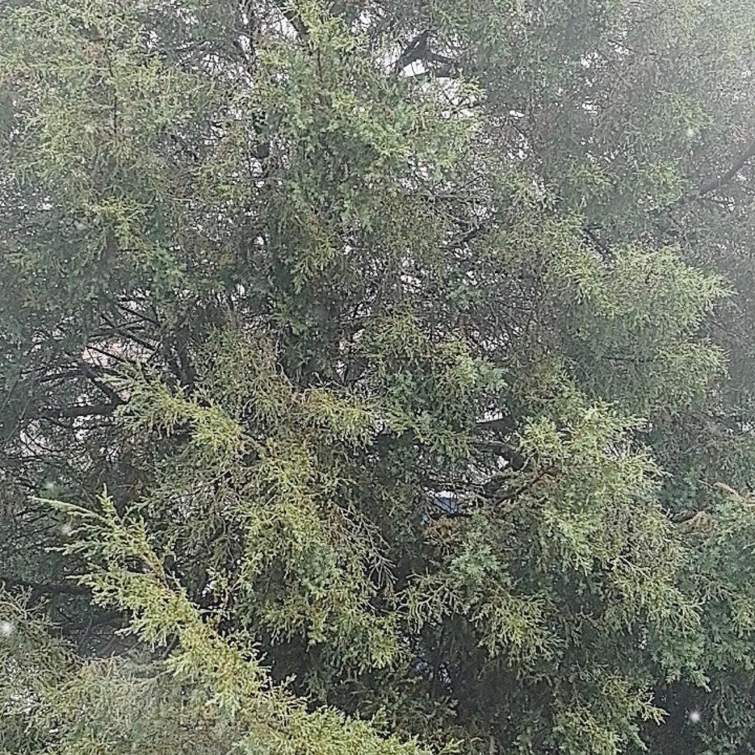 乘风破浪（来去自如））