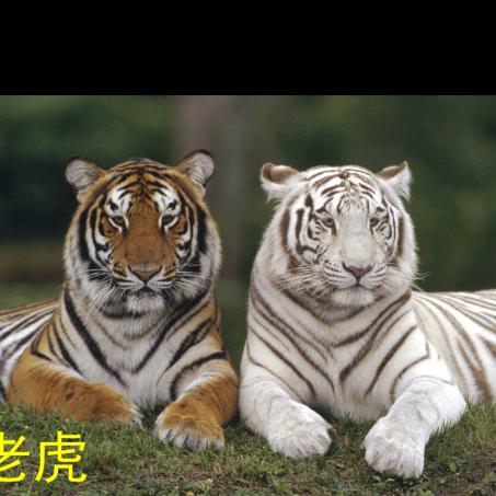 ᦦ້ᮨ꯭人间꯭🚫ᩚ꯭ᩚ ⃟过客᯽࿐