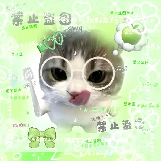 轩轩🧊️ˁ˙˟˙ˀ