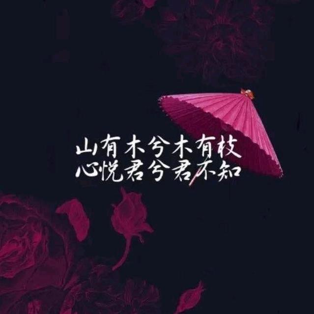 向往的阳光