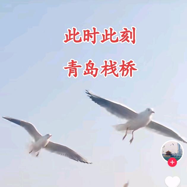 《我的唯一》👌