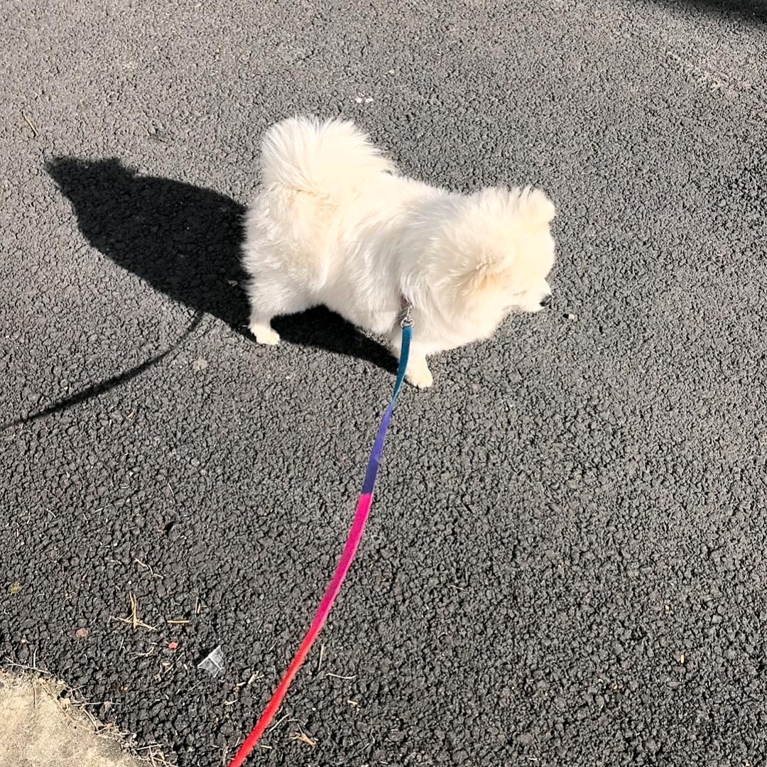 锋♡