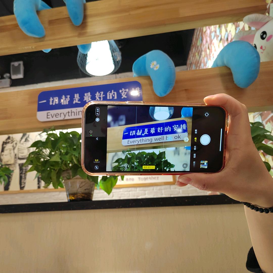 鑫淼淼
