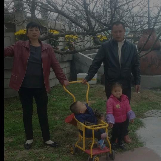 伤科药