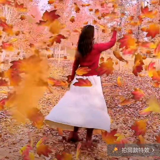 当杰圆