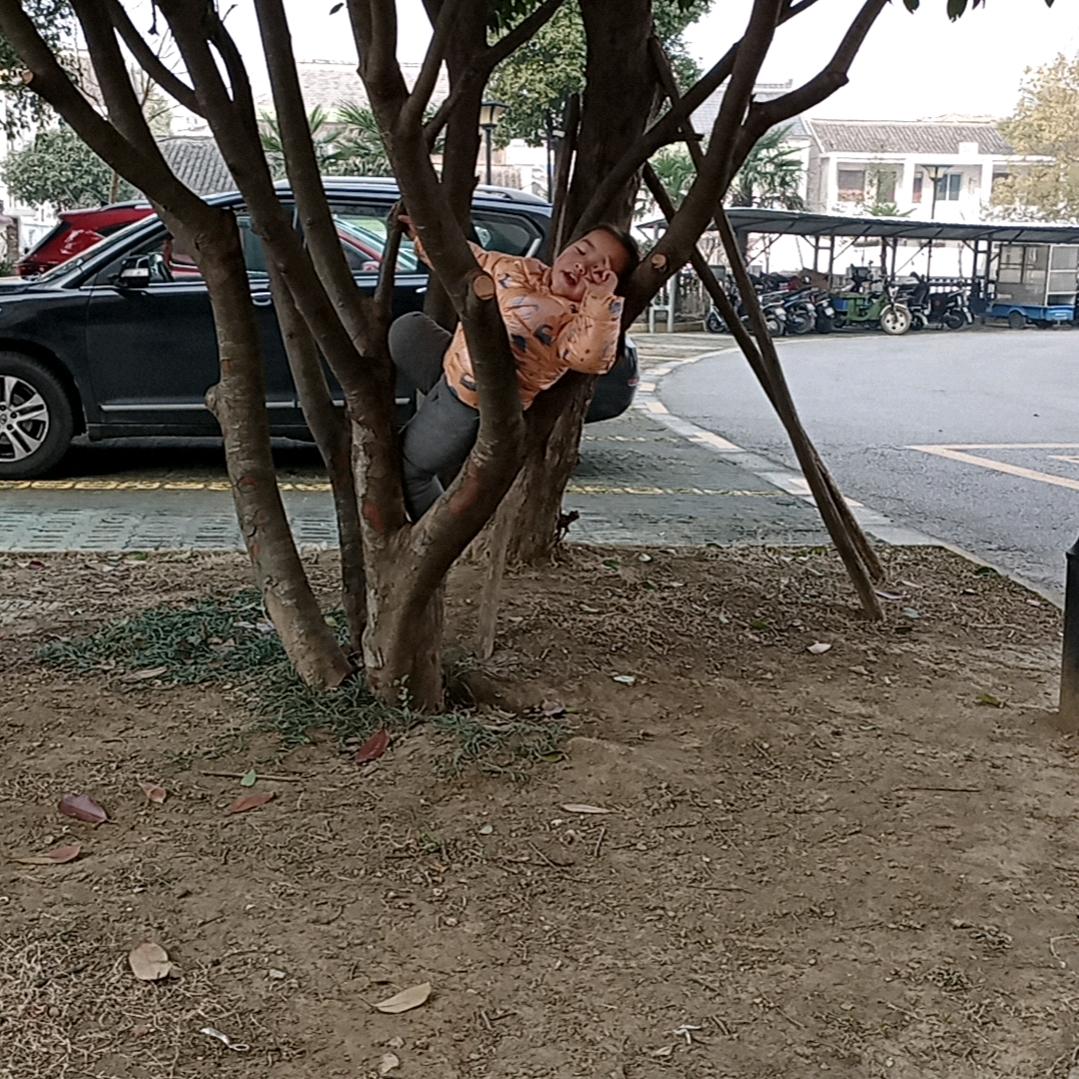 劳大