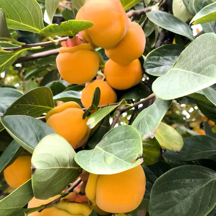 🌴扬帆起航