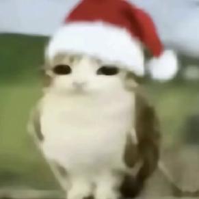 他说人狗殊途🅴