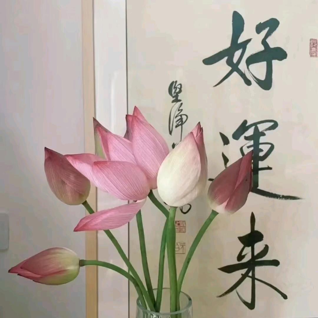 万物生健康小站