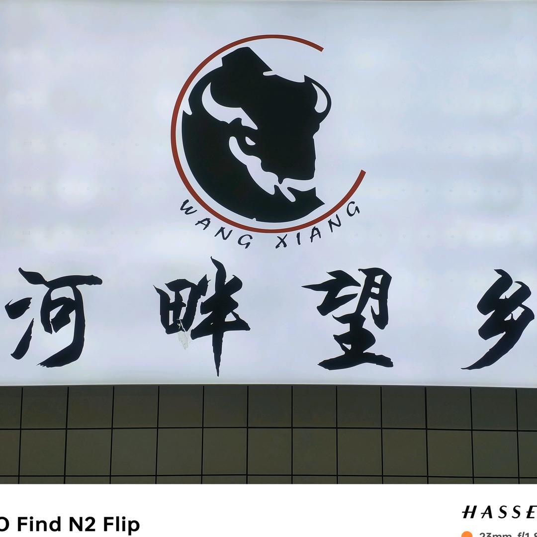 化隆望乡酸奶