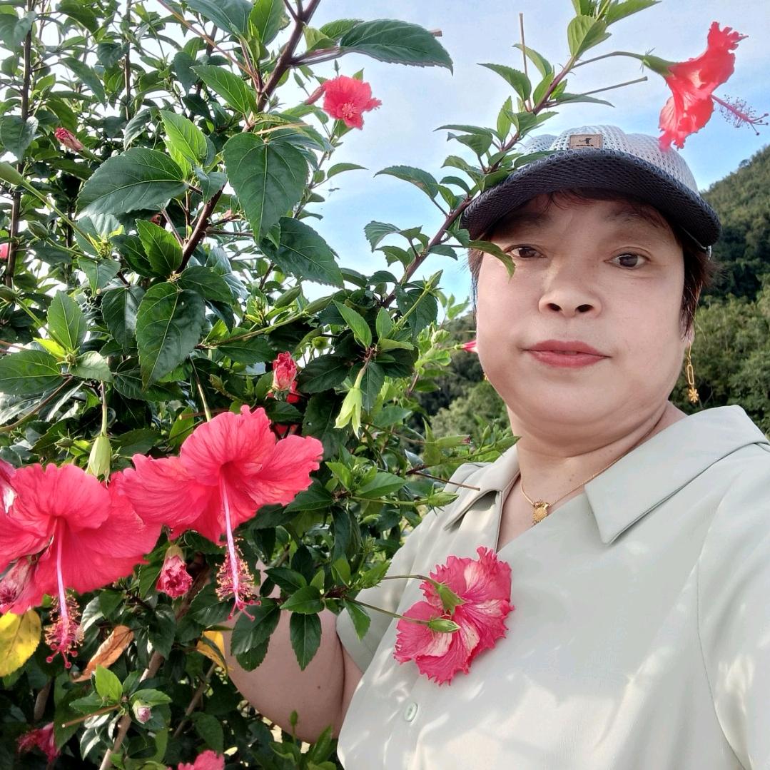 🌹🌹英子的梦🌹🌹🌿☘