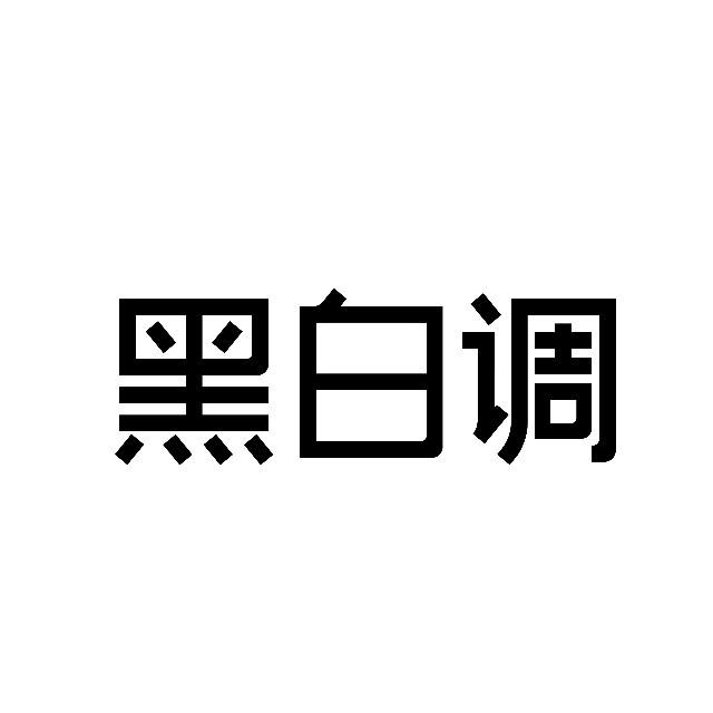 黑白调｜兰州中心体验店