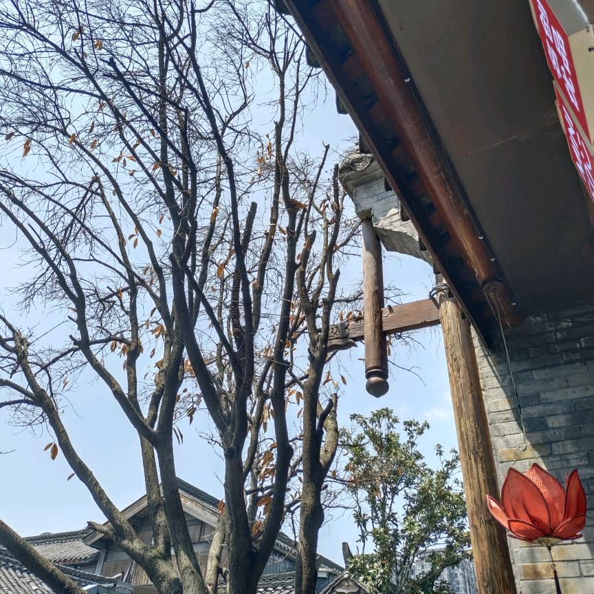 小小大人头像
