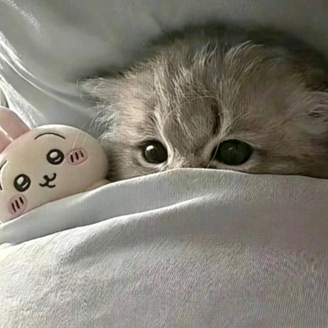 琅琊๑>ᴗO๑头像